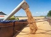 Стало известно, сколько зерна экспортировала Украина с начала года