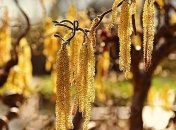 Мокрый снег и штормовой ветер: какой будет погода в первые дни весны 