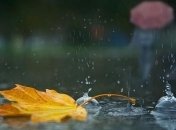 В Киеве за несколько часов выпала трехмесячная норма осадков