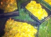 Двое мужчин пытались переправить в Россию 3,5 тысячи утят