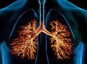 Назван продукт, который защитит от болезней легких 