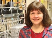 Уникальные свойства ГМО-микробов