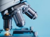 В морских грибах много разнообразия: первое подробное исследование