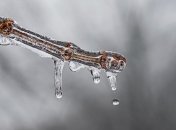 С дождями, сменяющимися морозами: каким будет декабрь в Украине