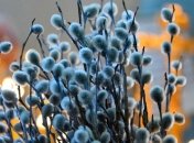 Вербное воскресенье в Украине: где и когда смотреть службу онлайн