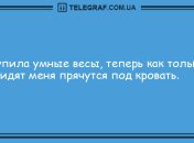 Разбавьте вечер яркими красками: уморительная подборка анекдотов
