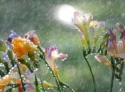 Прогноз погоды в Украине на 28 мая: пройдут дожди с грозами