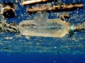 Как пластиковый мусор влияет на полезные бактерии в океанах