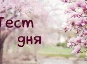 Рекомендации для улучшения жизни: тест, который даст ценную подсказку