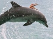 В Австралии осьминог прокатился на дельфине