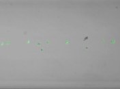 Ученые научились заставлять клетки левитировать