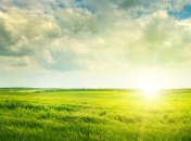 25 августа. Приметы дня