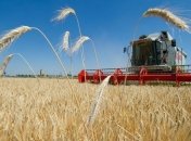 Чистая прибыль Аграрного фонда в II-квартале 2018 составила 2,2 млн грн