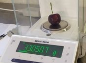 В Италии ягода вишни установила мировой рекорд по размеру: сколько она весит (фото)