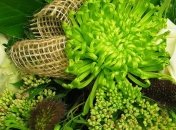 Поздравления с днем рождения бабушке 29 марта: стихи и открытки