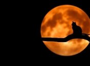 Ці застереження можуть уберегти від біди