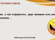 Похохочем в этот вечер: свежие анекдоты для веселого продолжения дня