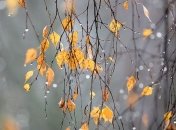 Прогноз погоды на 27 ноября: в некоторых регионах ожидается снег