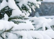 Зима вернулась: Карпаты замело снегом 