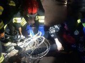 В Киеве при загадочных обстоятельствах мужчина посреди улицы запутался в колючей проволоке (фото)