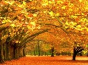 Прогноз погоды на 5 октября: В Украине будет преимущественно сухо