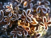 Погода в Украине: синоптики дали "зимний" прогноз