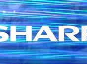 В Sharp начали изготавливать прозрачные солнечные батареи