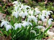 Весенняя депрессия: как ее избежать? 