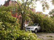 Два человека погибли в результате шквального ветра в Астане