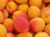 Абрикосы защищают организм от множества заболеваний