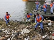 Власти Шанхая отрицают появление угрозы для здоровья населения