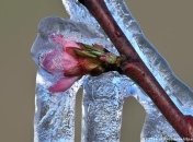 Погода в Украине