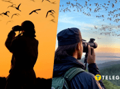 Орнітологи