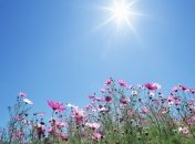 В Україні погодні гойдалки