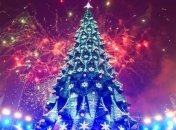 Сегодня для главной елки Украины устроили испытание