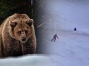 Медведь устроил погоню за лыжником на курорте в Румынии: очевидцы сняли видео