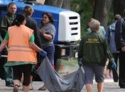 Кличко назначил нового руководителя "Киевзеленстроя"