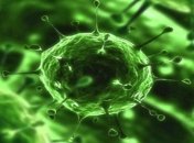 Ученые установили причину самой смертоносной в истории эпидемии