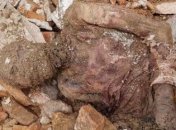 Предполагаемую мумию шаха нашли в Иране 