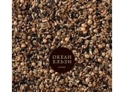 "Океан Ельзи" выпустил новый альбом