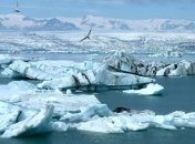 Ученые сделали удивительное открытие об Арктике