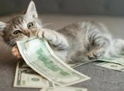 Зробили розклад Таро на фінанси для кожного знака Зодіаку на тиждень із 19 по 25 серпня 2024 року