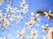 Погода на майские праздники: почти лето