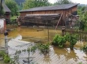 Наводнение на Прикарпатье: в ОГА рассказали, сколько домов пострадало