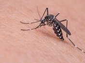 В Киеве подозревают случай лихорадки Западного Нила