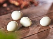 Вварені яйця - основа багатьох смачних страв