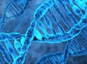 Биологи обнаружили микробов, которые нарушают правила чтения ДНК