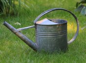 Поливать огород перекисью водорода очень полезно для земли