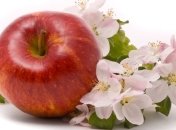 Продукты, которые снижают риск диабета