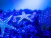 Лечимся морской солью в домашних условиях 